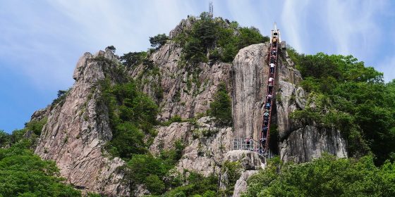 ai工具集合网站安全审核流程图，三个步骤从左到右：隐私政策检查、安全扫描、协议透明度评估，每步配对勾图标，蓝紫渐变背景